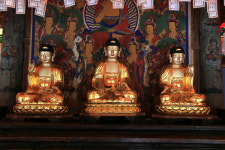 경북도 문화재위원회, 도 문화재 6건 지정·결정…문화유산 지속적 발굴