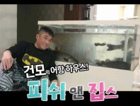 유치빤스라고? 예능계는 지금 아재 전성시대