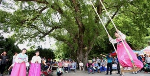 대전동구, 판암골 단오한마당 행사