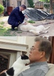 유기견 토리 ‘퍼스트독’ 추진…문재인 대통령 남다른 반려동물 사랑