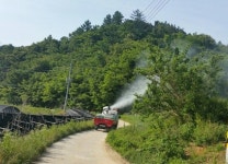 금산군,  돌발해충 협업 방제
