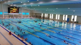 올 여름 더위는 실내 수영장에서 식히세요