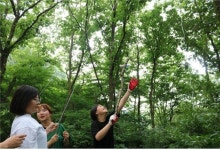 국립장성숲체원, 청소년 숲속 집짓기 프로그램 운영