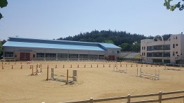 복용실내승마장, 승마활성화 프로그램 운영 