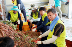 경남농협, 산청군 묵하마을 방문해 햇고구마 수확 도와