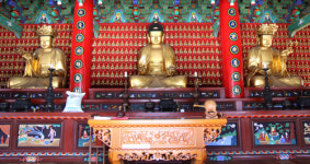 경북도 문화재위원회, 도 문화재 유형문화재·문화재자료 5건 지정