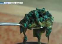 생방송 오늘저녁 김포 다슬기해장국·청국장, 찾아가는 이유 있어 건강한 맛