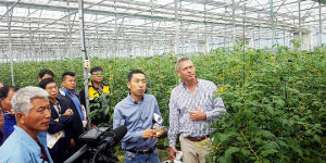 김해농업기술센터, 선진기술 도입해 세계 최고 토마토 생산에 도전