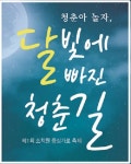 조치원읍 가로공원(파크리안A) | 제1회 조치원 중심가로 축제 한마당 열려