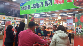 경북농협, 우박사과 특별 할인판매 행사 열러