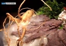 생방송 오늘저녁 한우도가니전골vs해물갈비전골, 깊이있는 맛 영양, 비주얼 다 잡아