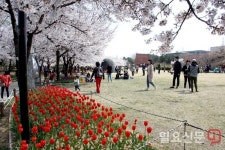 [김해시 브리핑] “봉하마을은 김해에 있습니다”…주요 관광지 홍보 나서 外