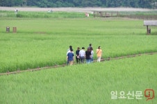 [순천시정] 순천시 새벽 무진 선상투어 등 ‘봄 체험장’ 운영 外