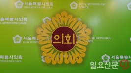 6.13 지선 서울시의회 110명 당선..83명이 초선