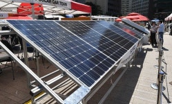 황금알 낳는 거위라더니…인기 투자처 태양광사업의 민낯 