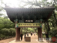 포항 보경사의 이상한 영농조합 운영… 불심(佛心)이용 얄팍한 상술 도마 위