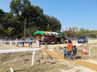 고양시티투어, 원당종마목장 체험 행사 개최