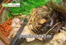 생방송 투데이 고수뎐 원주 산야초 백숙, 절벽에서 채취한 귀한 재료 듬뿍