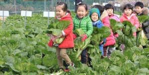 [대구소식] 달서별빛캠프, 꿈나무 자연사랑 체험장 인기 外