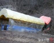 경기도, 농촌체험휴양마을 ‘트랙터 마차’ 운행 전면 중단…이재명 “언제나 안전이 우선”