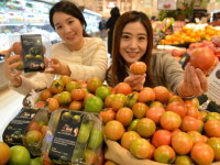[롯데쇼핑 소식] “짭쪼름한 대저 토마토 맛보세요” 外