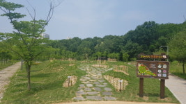 김포시, 고창공원에 솔터힐링 무궁화동산 조성 완료