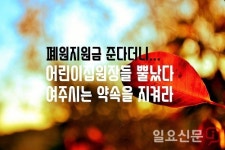 ‘법적근거 때문?’ 어린이집 ‘폐원지원금’ 논란 휩싸인 여주시장