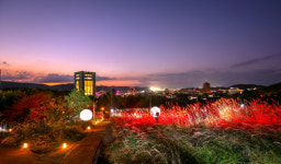 [2019경주세계문화엑스포] 경주의 밤, 신화와 빛으로 화려해졌다