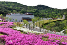 경주 화랑마을 개원 1주년…운영 안정화로 새로운 랜드마크 급부상