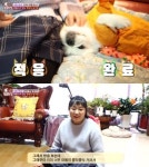 동물농장 이수지, 편지와 함께 버려진 유기견 흰둥이 입양 처음 봤을 때부터 마음이 콩닥