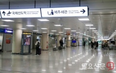관광 제주 신종 코로나 된서리에 몸살 앓는다