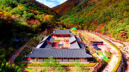 국립김천치유의 숲·영덕 인문힐링센터 여명…웰니스 관광지 선정