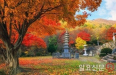 ‘오고 싶은, 머물고 싶은 양구’ 사진공모전 전시회 개최