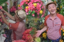 세상에 이런일이 죽은 아내를 생각하며 만든 비밀의 화원, 사시사철 꽃들 만발