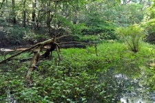 보전지역 생태자원 활용 관광자원화 추진