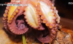 생방송 오늘저녁 양평 능이버섯닭백숙, 예산 항아리짬뽕 미미한 차이로 성공