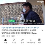 한남이라고? SBS 애니멀봐 채널에 남녀 설전 벌어진 이유