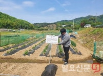 용인시, 도로 국공유재산 4만 9408필지 12월까지 실태조사...“효율적 관리방안 마련”