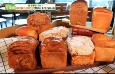 생방송 투데이 파주 탕종식빵과 함께 즐기는 빵 소풍 하루 매출 1000만원