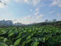 대구시, 안심창조밸리 7년간 대장정 마침표…새 관광지 주목