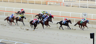 [2세마 특별경주 리뷰] ‘존재감 제로’였던 위너스타 괴력 뽐내며 우승