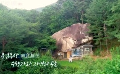 환경스페셜 봉암사, 송광사, 해인사, 선운사 명찰들의 숲 진리의 가르침 품어