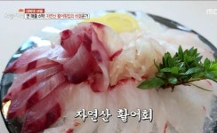 생방송 오늘저녁 대박의 비밀, 영덕 강구항 자연산 활어횟집 머구리 작업으로 신선