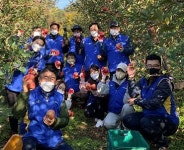 현대중공업, 농촌마을 사과 따기 봉사활동 펼쳐