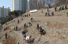 군포시, “코로나19 헤쳐나가는 희망의 나무 심어요”