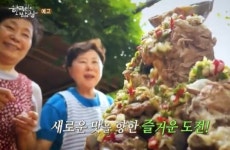 한국인의 밥상 성지농장부터 재래돼지 복원까지 2022년 돼지의 모습