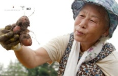 자연의 철학자들 5무 농사법 실천하는 자연농부, 안분지족의 삶