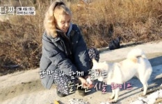 동물극장 단짝 반려견과 함께하는 카자흐 남원댁의 시골살이