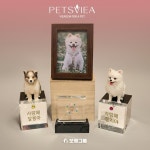 보람그룹 비아생명공학, 반려동물 생체보석 전문 브랜드 펫츠비아 출시