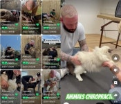 국제엘리스연구소, 펫(pet)카이로프랙틱 사업 나선다